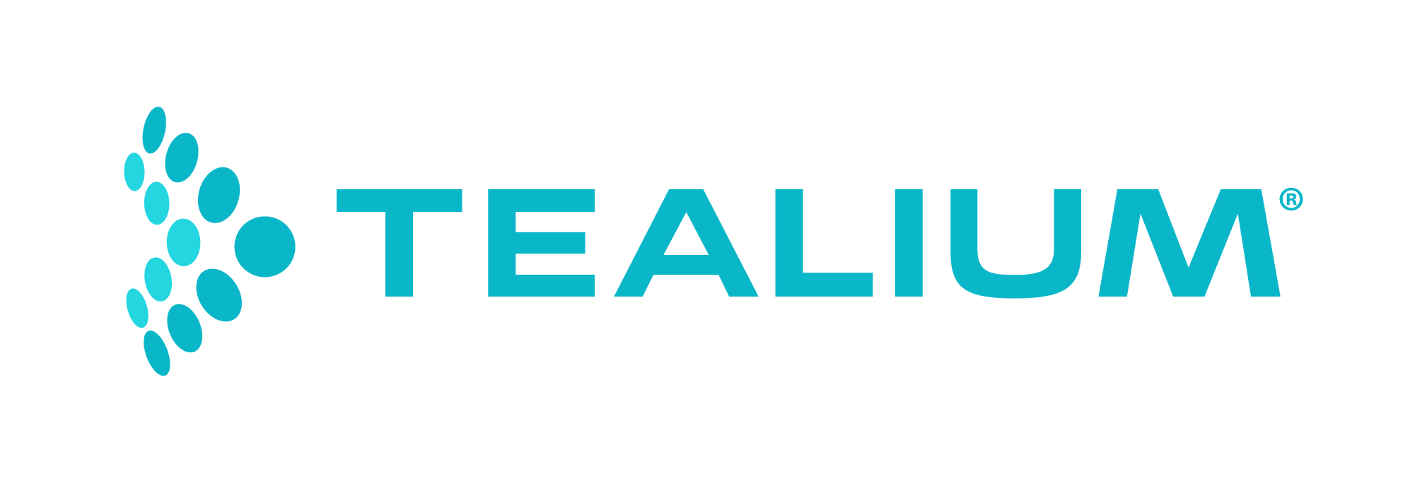 2021_Tealium_logo_rgb_full-color-002 (1)